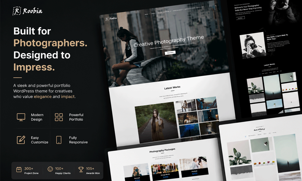 Roobia – Portfolio WordPress Theme