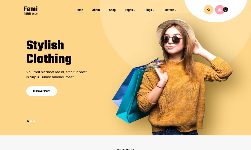 Ecommerce WordPress Themes