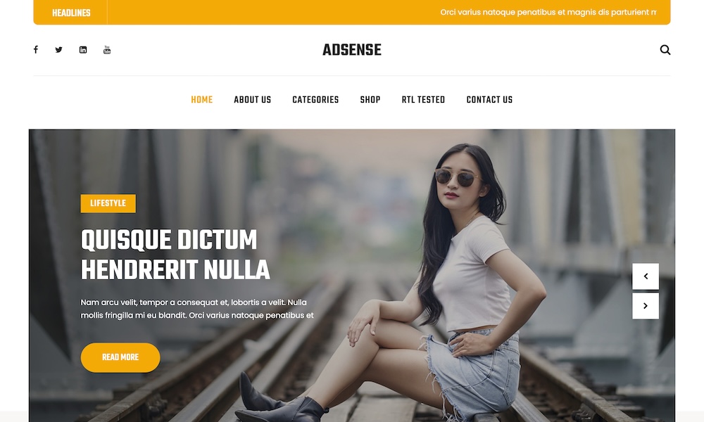SKT Adsense - Adsense Friendly WordPress Theme