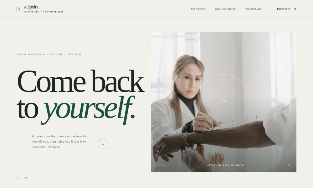 Acupuncture Website Template