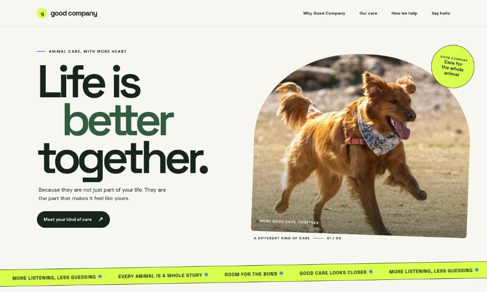 Animal And Pet Website Template