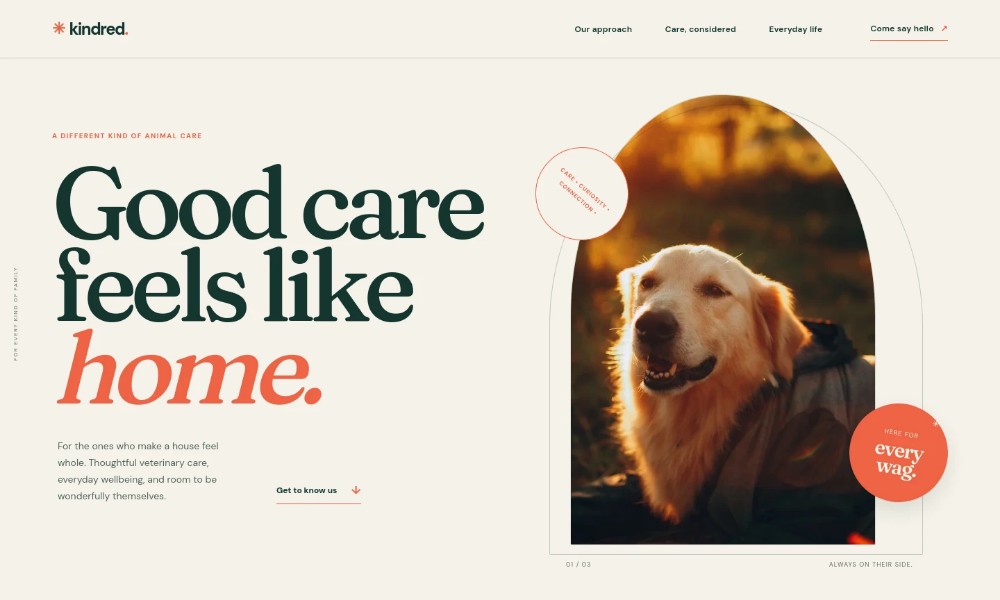 Animal Care Website Template