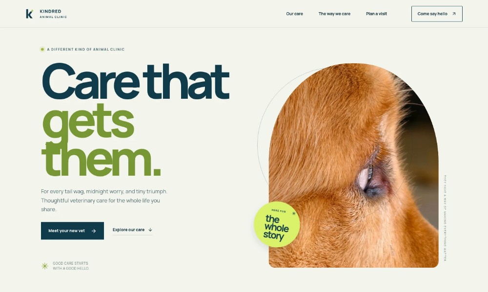 Animal Clinic Website Template