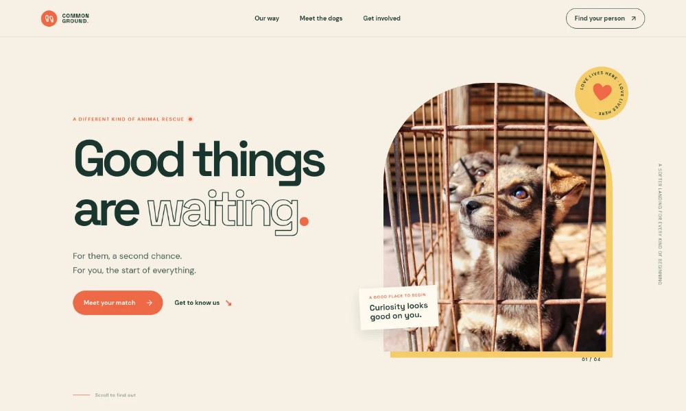 Animal Shelter Website Template by Revamp
