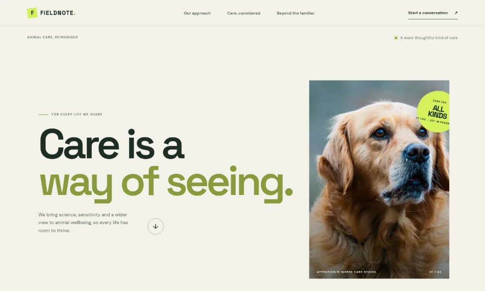 Animal Website Template