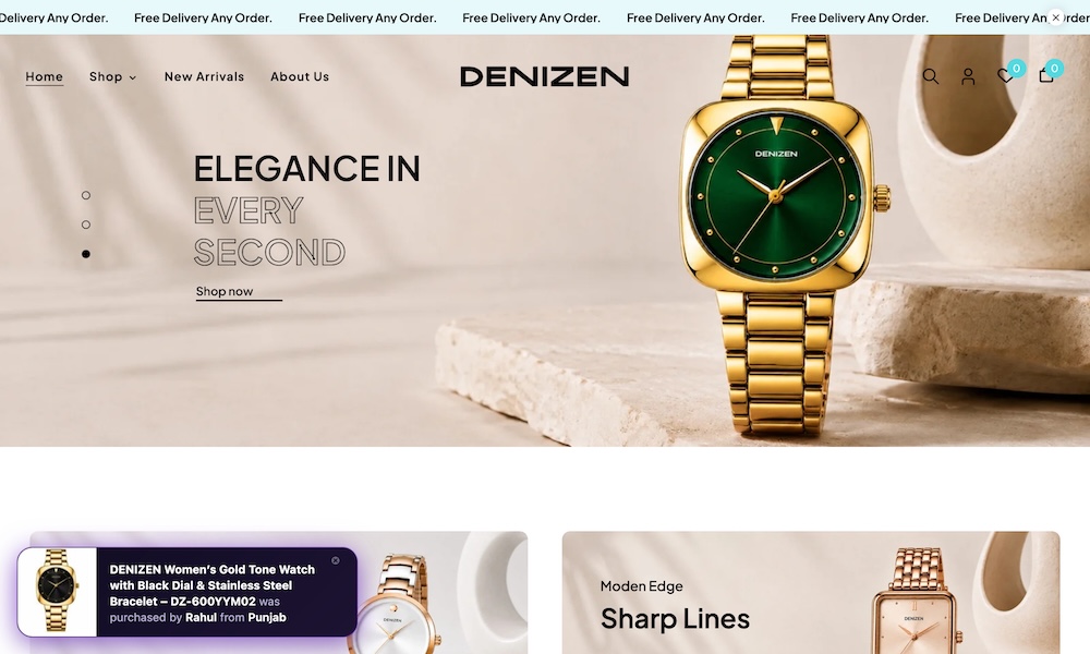 Denizen Watches